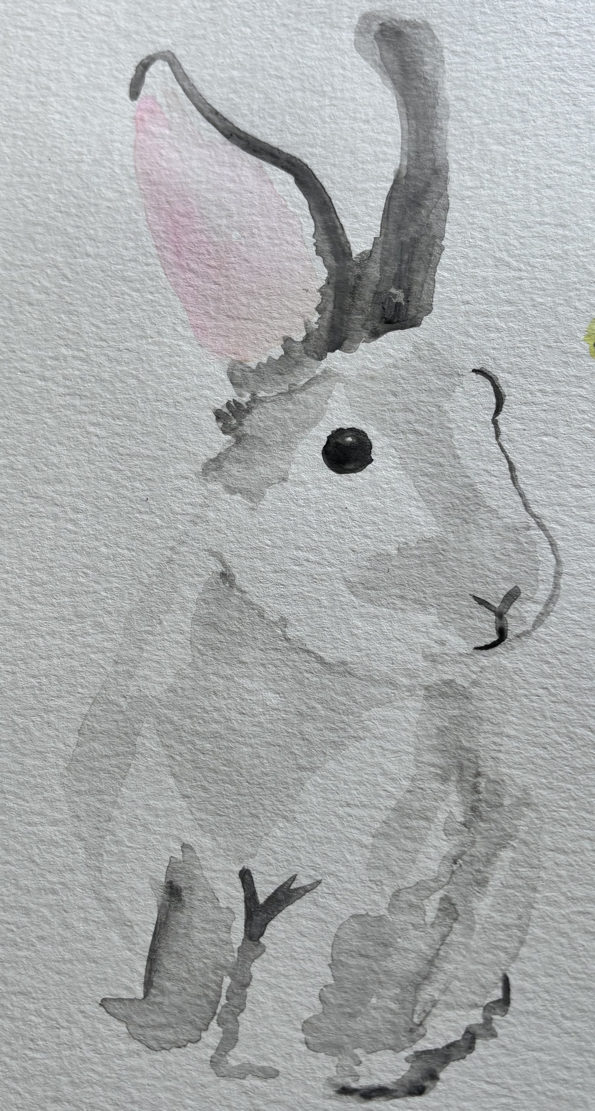 Watercolor painting of a white rabbit